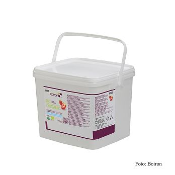 Püree - Erdbeere, TK, 10 kg