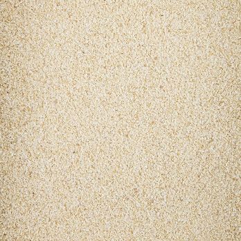 Zwiebel, Granulat, 0,5mm, 1 kg