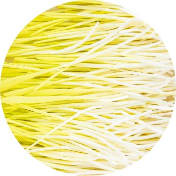 vollgepackt Microgreens Mais, ganz junge Blätter / Keimlinge, 50 g