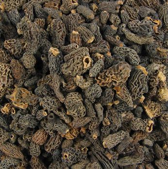Spitzmorchel-Köpfe, Tinies, getrocknet, Plantin, 1 kg