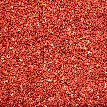 Sesam, geröstet, mit Ume Geschmack (Umeboshi / salzige Pflaume), 1 kg