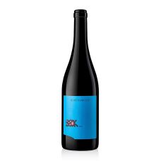 2023er Blaufränkisch Landwein, trocken, 12,5 % vol., Judith Beck, BIO, 750 ml