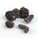 Spitzmorchel-Köpfe, Tinies, ab ø 2cm, 1 kg