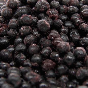 Holunderbeeren, ganz, TK, 1 kg
