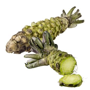 Wasabi, frisch, ganz, Japan, ca.120 g