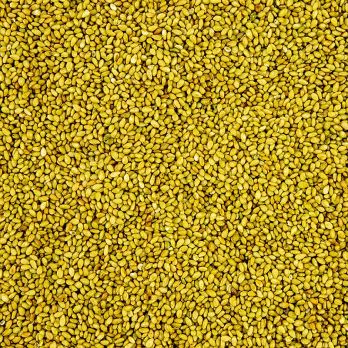 Sesam, geröstet, mit Wasabi Geschmack, 1 kg