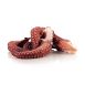 Oktopusarme (Pulpo Tentakel), gekocht, 3-5 Stück, delfin, TK, 400 g