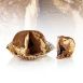 Tartufo Haselnuss / Schoko, Eisdessert, TK, 1,32 kg, 12 St