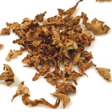 Pfifferlinge, 1 kg