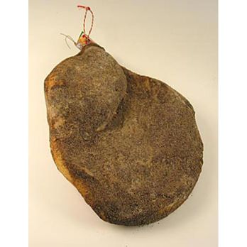 Schinken Toscana, ganzer Schinken ohne Knochen, 18 Monate, Montalcino Salumi, ca.7,5 kg