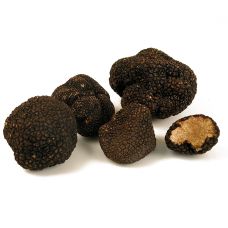 Sommertrüffel/BurgunderTrüffel tuber aestivum/uncinatum, Mai/November, per Gramm