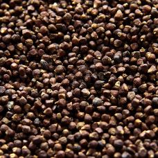 Paradieskörner - Guinea-, Melegue-, Malagetta-, Maniguette Pfeffer, 250 g