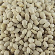 Bohnen, Cocobeans, weiß und sehr klein, getrocknet, 5 kg