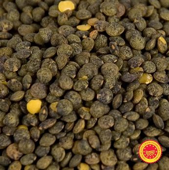 Linsen, grün - Lentilles du Puy, traditioneller Anbau, g.U., Frankreich, 5 kg