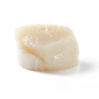 Kanadische Jakobsmuscheln, Größe L, 24-44 Stück, TK, 1 kg