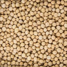 Bohnen, Soja Bohnen, getrocknet, BIO, 1 kg