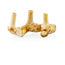 Galgant/ Laoswurzel, frisch, 500 g