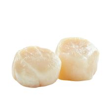 Kanadische Jakobsmuscheln, Größe XXL, max. 20 Stück, TK, 1 kg