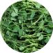 vollgepackt Microgreens Erbsen, ganz junge Blätter / Keimlinge, 100 g