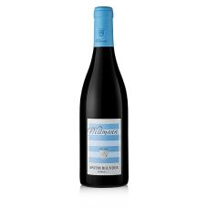 2020er Spätburgunder, trocken, 13% vol., Wittmann, BIO, 750 ml