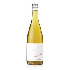2022er Sunny Cide up, Cidre, trocken, 9% vol., Preisinger, 750 ml