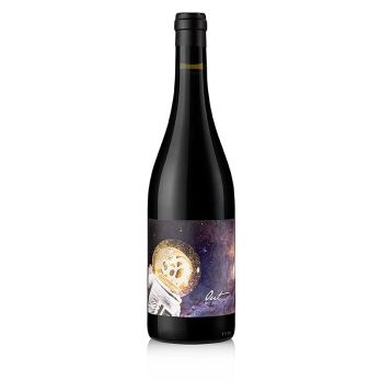 2021er Out Rotwein, trocken,  13 % vol., Judith Beck, BIO, 750 ml