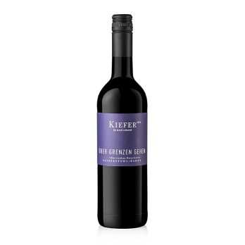2022er  Über Grenzen gehen Cuvee QW, trocken, 12,5 % vol., Kiefer, BIO, 750 ml