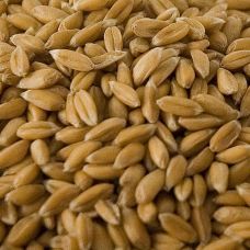 Dinkel, ganz, geschält, BIO, 1 kg