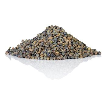 Linsen, grün - Linsen aus Puy, traditioneller Anbau, Frankreich, 1 kg