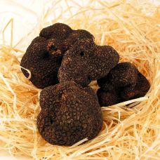 Winter-Edeltrüffel - tuber melanosporum, frisch, Frankreich, Nov./März, per Gramm