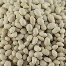 Bohnen, Cocobeans, weiß und sehr klein, getrocknet, 5 kg