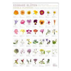 Port Culinaire - Küchenposter Eßbare Blüten (59,4 x 84cm), 1 St