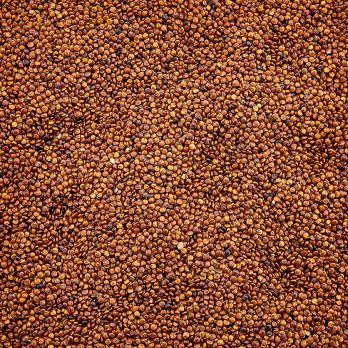Quinoa, ganz, rot, das Wunderkorn der Inkas, BIO, 25 kg