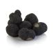 Winter-Edeltrüffel EXTRA- tuber melanosporum, kleine Knollen, Australien, Juni/August, per Gramm