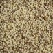 Morelli 1860 Fregula (Fregola) Tostata, mit Hartweizen, 500 g