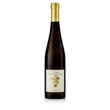 2018er Ganz Horn Riesling GG, trocken, 13 % vol., Rebholz, BIO, 750 ml
