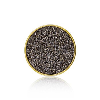 BOS FOOD Premium Selection Kaviar vom sibirischen Stör (Acipenser baerii), Aquakultur China, 10 g