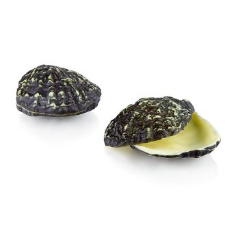 Schokoladen Austern, weiße Schokolade, 2-tlg., Dobla (77509), 252 g, 12 St