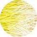 vollgepackt Microgreens Mais, ganz junge Blätter / Keimlinge, 50 g