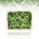 vollgepackt Microgreens Sonnenblume, ganz junge Blätter / Keimlinge, 100 g