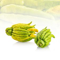 Buddhas Hand, Fingerzitrone (Zitronat), frisch, ca.750 g, 1 St