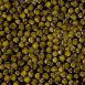BOS FOOD Premium Selection - Kreuzung Amur x Kaluga Stör (schrenckii x dau), China, 10 g