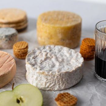 BOS FOOD Käseseminar, 6.10.25, 10-17 Uhr, Meerbusch, 1 St
