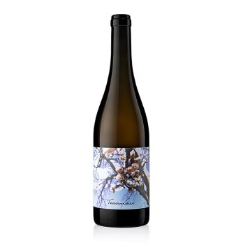 2024er Traminer Orange, trocken, 12,5 % vol., Judith Beck,BIO, 750 ml