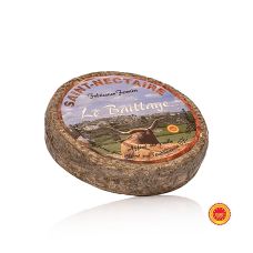 Saint Nectaire Fermier AOP, Halbfester Schnittkäse aus Rohmilch, ca.1,7 kg