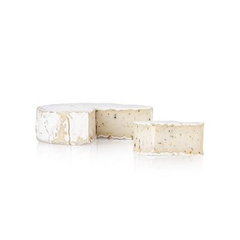 Vanozza Brie Pfeffer Geschmack, vegane Weichkäsealternative, Cashewbasis, 125 ml
