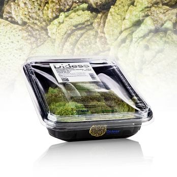 Grand Dekor Minzkrokant, süß, Didess, 500 g, 125 St