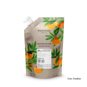 Ponthier Mandarinenpüree, 100 % Frucht, 1 kg