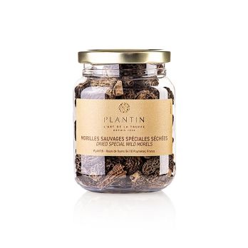 Spitzmorchel-Köpfe, Specials, ab ø 3cm, Plantin, 50 g