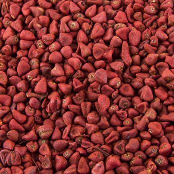 Annatto-Samen, vom Orleanstrauch, 1 kg